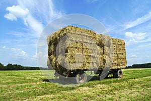 Bales of hay on a trailer standing in a field