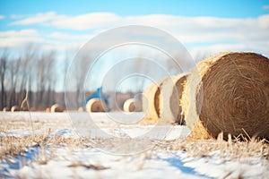 bales of hay for winter feedstock