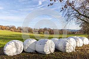 Bales of hay wrapped in film on an empty pasture close-up
