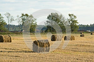 Bales on the Lawn