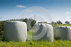 Bales of silage