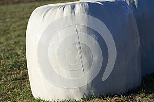 bales silage haylage foiled on field