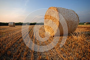 Bales of straw