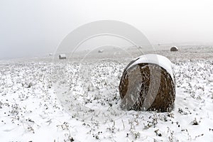 Bales of straw on a field with snow in winter