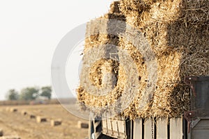 Bales straw in a trailer