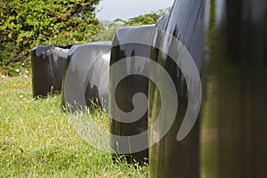 Bales of straw wrapped up in black plastic over a green field in summer, Galicia, northern Spain.