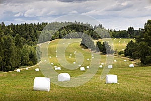 Bales of straw wrapped in white foil on field, Czech Canada natural park