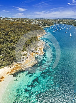 Balgowlah Heights Coastal vertical panorama