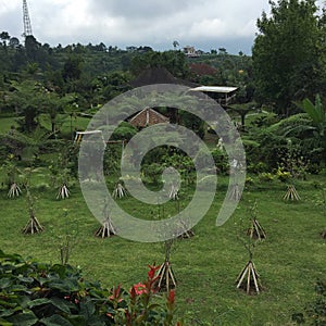 Bali Bedugul