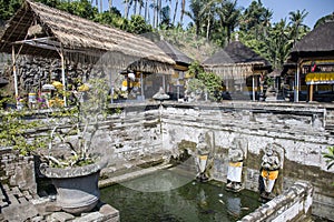 Bali Elephant Cave in Ubud Goa Gajah Temple 2