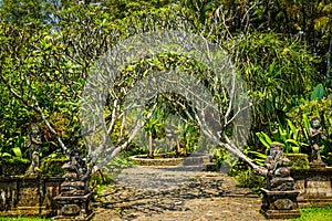 Bali garden style gate with traditional stone statue with green tree and stone road path - photo