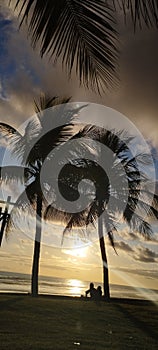 Bali Island, 11 March 2023 : Sunset at the beach with coconut trees and swing in the foreground, Indonesia