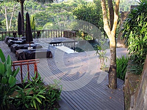 Bali. Outdoor pool in jungle