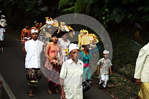 Bali procession
