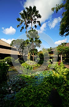 Bali resort landscaping