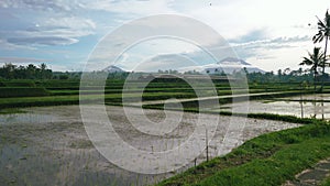 Bali rice field terraces on Mount Agung volcano mountainside, north of island