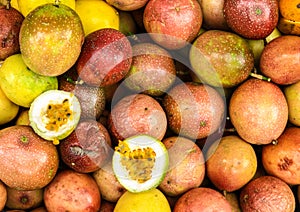 The Bali's passion fruits.