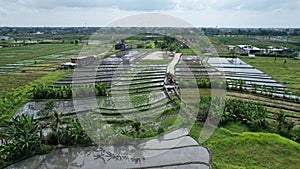 The Bali Terrace Rice Fields