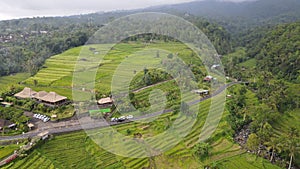 The Bali Terrace Rice Fields