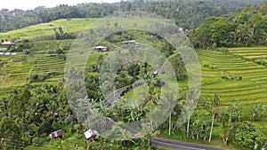 The Bali Terrace Rice Fields