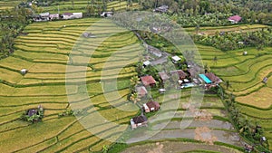 The Bali Terrace Rice Fields