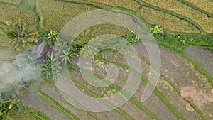 The Bali Terrace Rice Fields