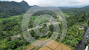 The Bali Terrace Rice Fields