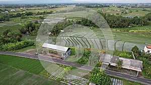The Bali Terrace Rice Fields