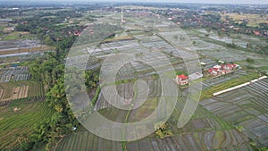 The Bali Terrace Rice Fields
