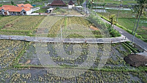 The Bali Terrace Rice Fields