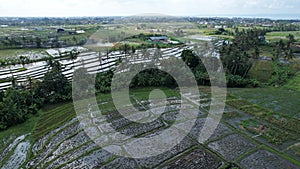 The Bali Terrace Rice Fields