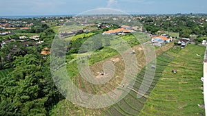 The Bali Terrace Rice Fields