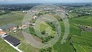 The Bali Terrace Rice Fields
