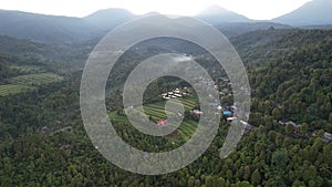 The Bali Terrace Rice Fields