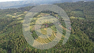 The Bali Terrace Rice Fields