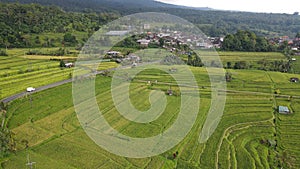 The Bali Terrace Rice Fields