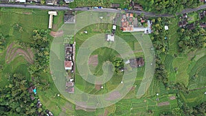 The Bali Terrace Rice Fields