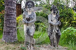 Bali traditional statue