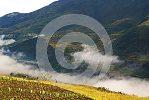 Baliem Valley in img