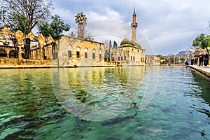 Balikligol  Abraham Lake  in Sanliurfa City of Turkey.