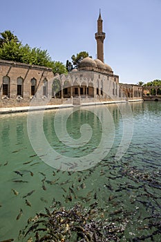 Balikligol, Halilurrahman Mosque Sanliurfa, Turkey