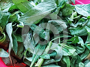 Balinese Gonda leaves to make vegetables with a soft taste