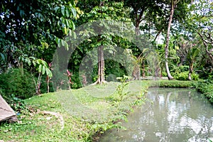 Balinese Irrigation System
