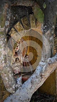 Balinese spiritual wooden statue in a niche