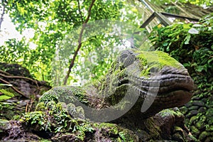 Balinese traditional lizard statue. Ubud