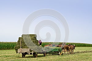 Baling Hay