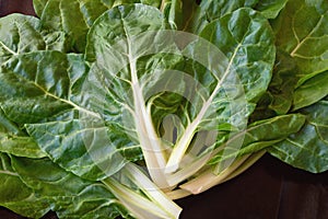 Balkan cuisine. Blitva chard leaves - leafy vegetables