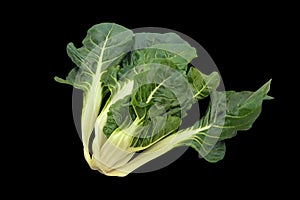 Balkan cuisine. Blitva  chard leaves  - popular leafy vegetables. Isolated on black