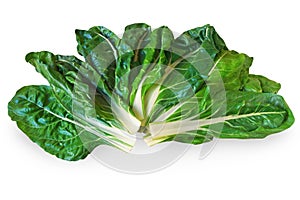 Balkan cuisine. Blitva  chard leaves  - popular leafy vegetables. Isolated on white