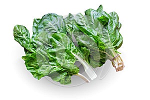 Balkan cuisine. Blitva  chard leaves  is popular leafy vegetables. Isolated on white